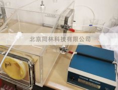 臭氧暴露染毒裝置的設計原則